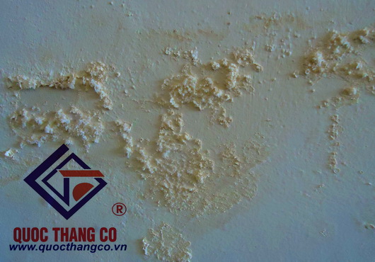 Chống ẩm chân tường gạch